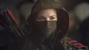 Стрела: 2 сезон 13 серия
