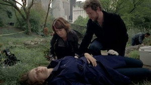 CSI: Место преступления Нью-Йорк: 8x9