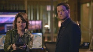 CSI: Место преступления Нью-Йорк: 8x16