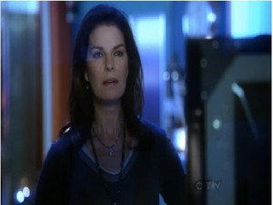 CSI: Место преступления Нью-Йорк: 9x9