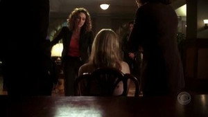 CSI: Место преступления Нью-Йорк: 1x20