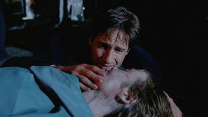 Секретные материалы: 3x8