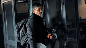 В поле зрения: 1x20