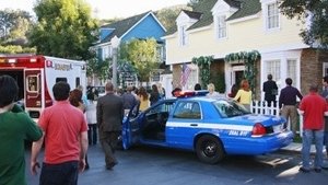 Отчаянные домохозяйки: 5 сезон 13 серия