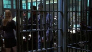 CSI: Место преступления Нью-Йорк: 1x23