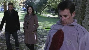 CSI: Место преступления Нью-Йорк: 8x13