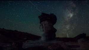 Плохая партия