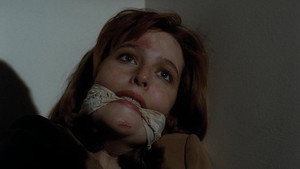 Секретные материалы: 2x13