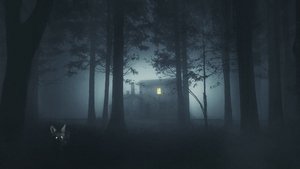 Шелби Оукс. Город-призрак