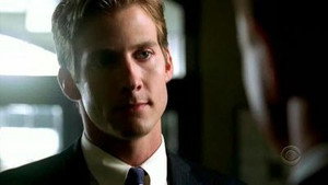CSI: Место преступления Нью-Йорк: 3x2