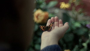 Сентиментальная ценность