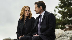Секретные материалы: 10x4