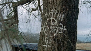 Секретные материалы: 2 сезон 15 серия