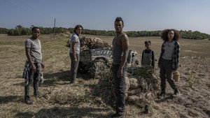 40 Акров