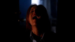 Секретные материалы: 8x14