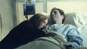 Секретные материалы: 8x15
