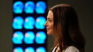 Анатомия страсти: 14 сезон 3 серия