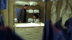 24 часа: 4x10