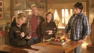 Тайны Смолвиля: 4x12