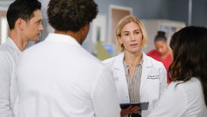 Анатомия страсти: 22x11