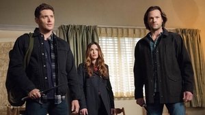 Сверхъестественное: 13x13