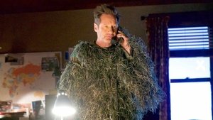 Секретные материалы: 11x4