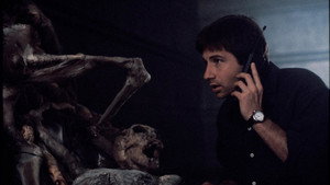 Секретные материалы: 2x25