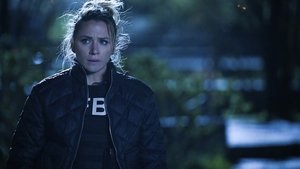 ФБР: 4x21
