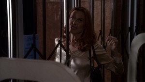 Отчаянные домохозяйки: 2x17
