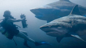 Глубокое синее море 3