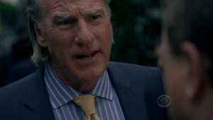 CSI: Место преступления Нью-Йорк: 5x25