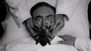 Паук-Нуар: 1 сезон 6 серия