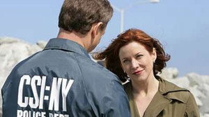 CSI: Место преступления Нью-Йорк: 4x17