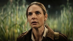 Укрытие: 1x8