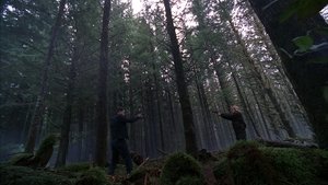 Грань: 2x21