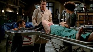Грань: 1x16