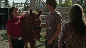 Хартленд: 3x12