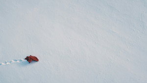 Пространство: 1 сезон 7 серия