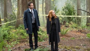 Секретные материалы: 11 сезон 6 серия