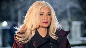 Стрела: 5x14