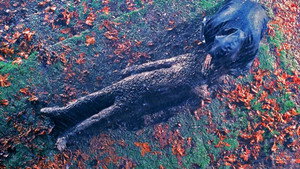 Секретные материалы: 4 сезон 15 серия