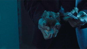 Пространство: 1 сезон 5 серия