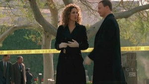 CSI: Место преступления Нью-Йорк: 2 сезон 15 серия