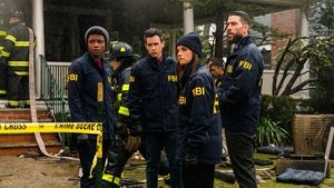 ФБР: 3x11