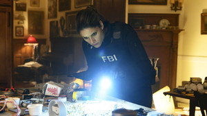 ФБР: 1x15