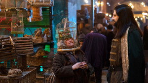 Чем мы заняты в тени: 4 сезон 4 серия