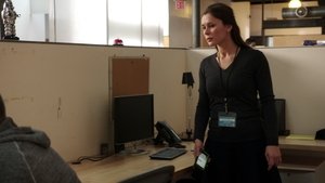В поле зрения: 4x15