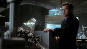 Грань: 4x22