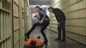 Мыслить как преступник: 11x22