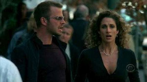 CSI: Место преступления Нью-Йорк: 3x8